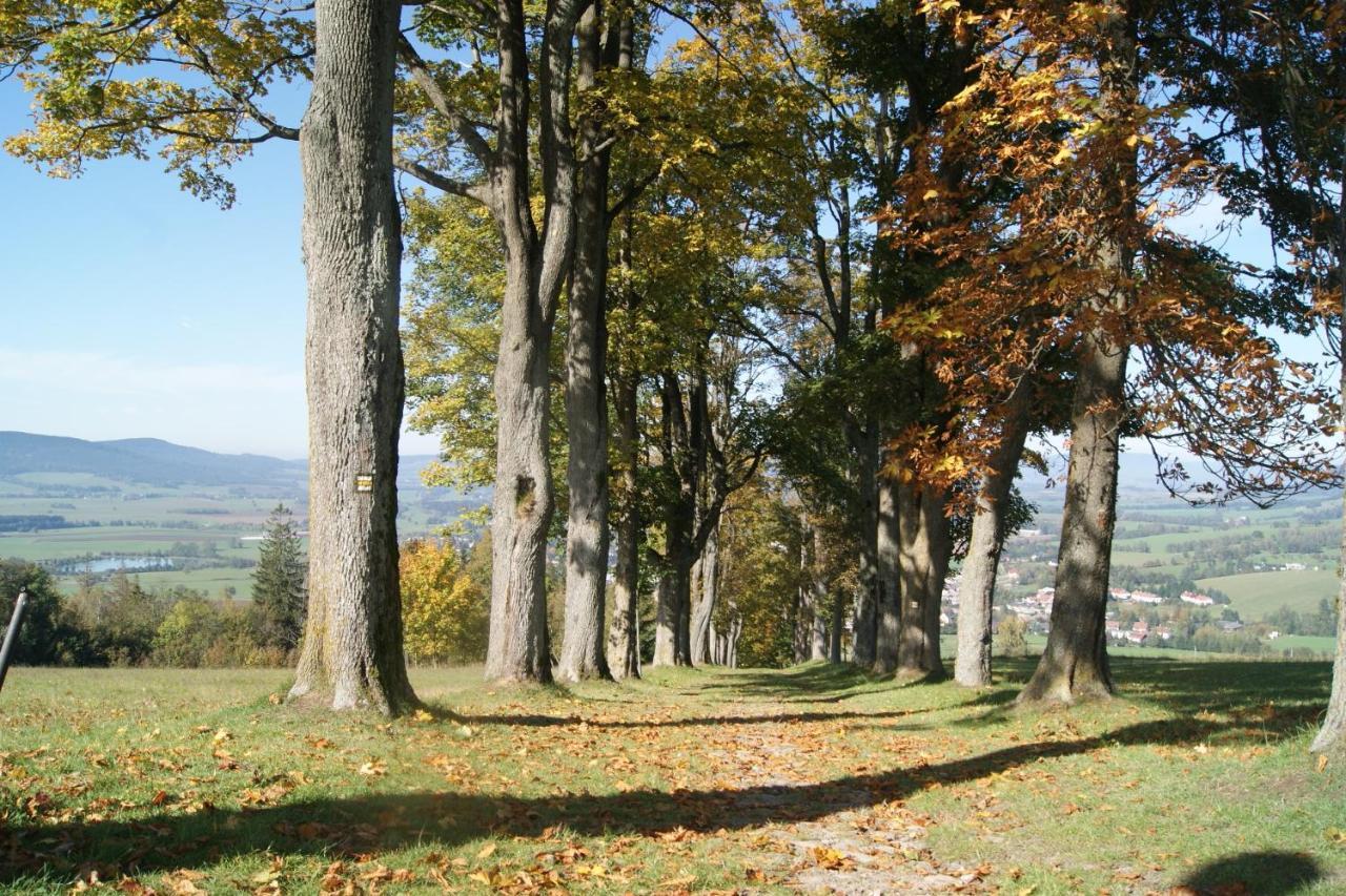 Chalet Horni Orlice Červená Voda Εξωτερικό φωτογραφία