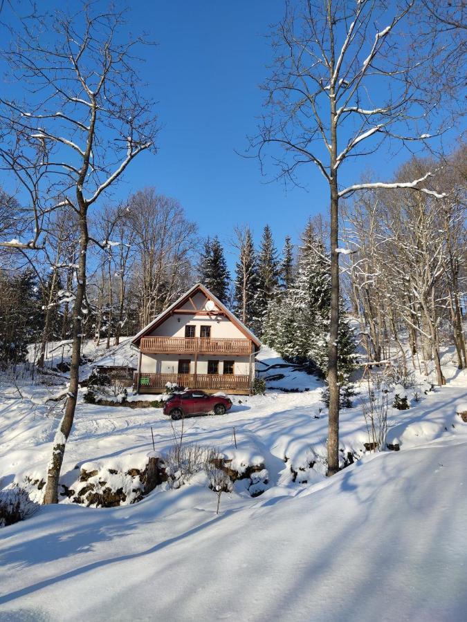 Chalet Horni Orlice Červená Voda Εξωτερικό φωτογραφία