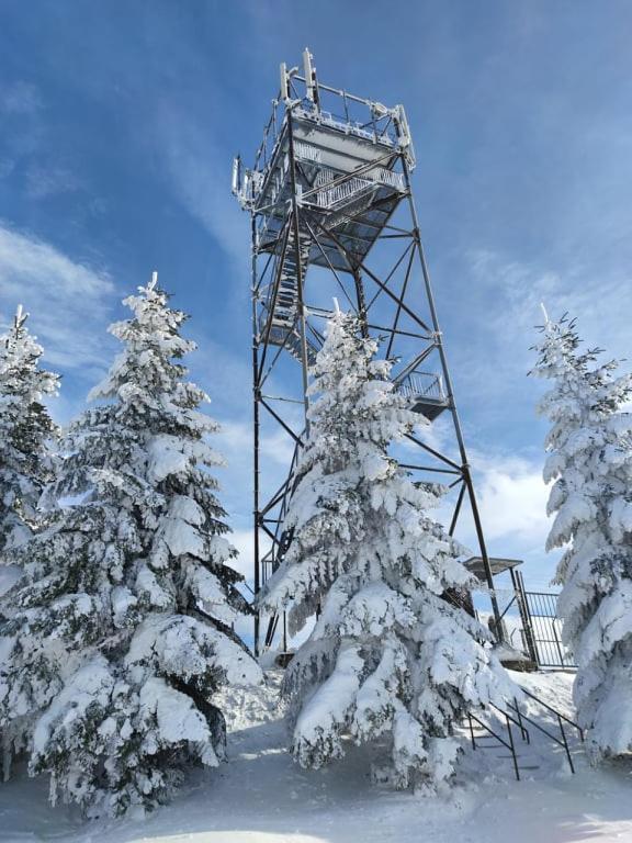 Chalet Horni Orlice Červená Voda Εξωτερικό φωτογραφία