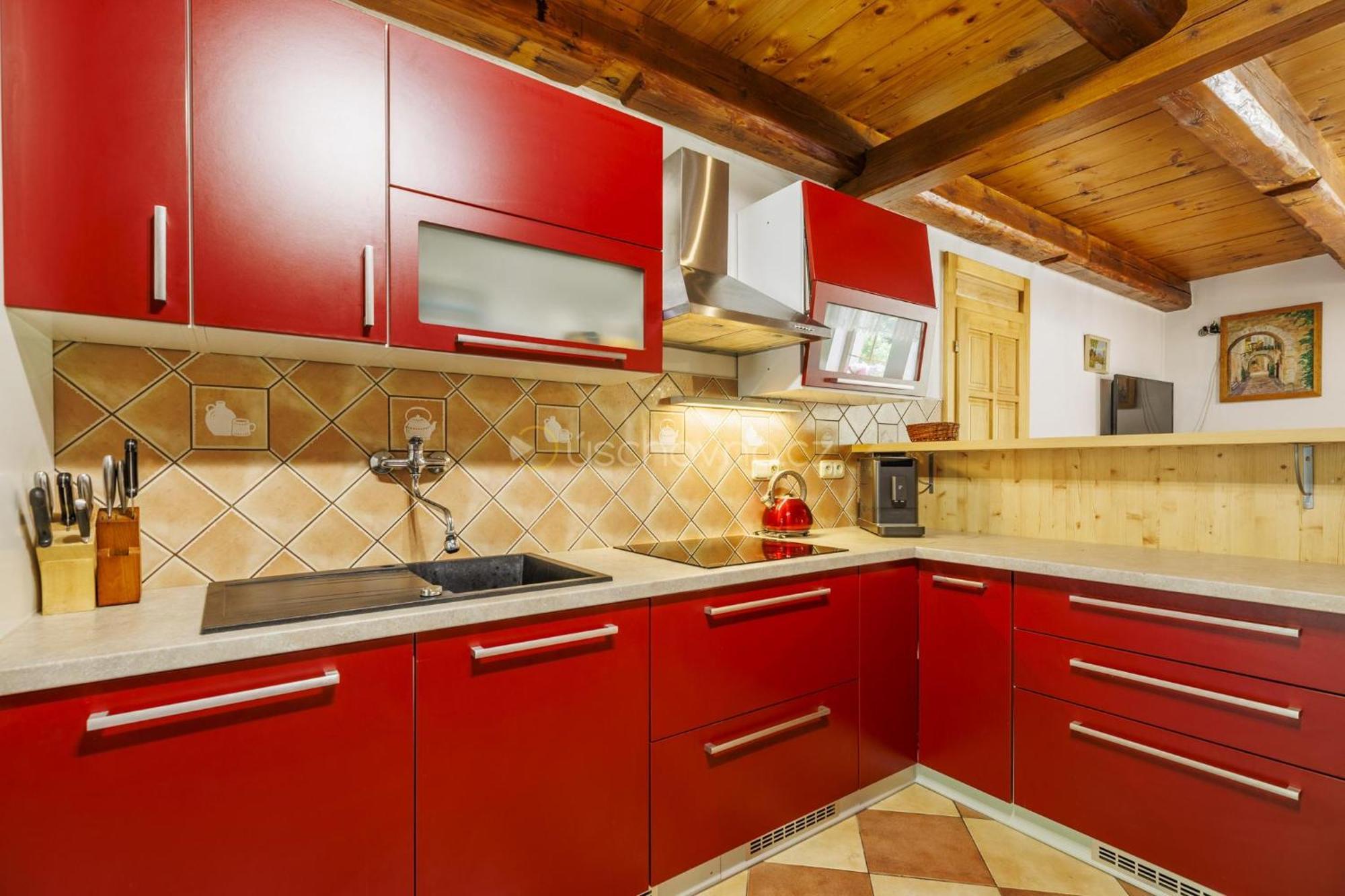 Chalet Horni Orlice Červená Voda Εξωτερικό φωτογραφία