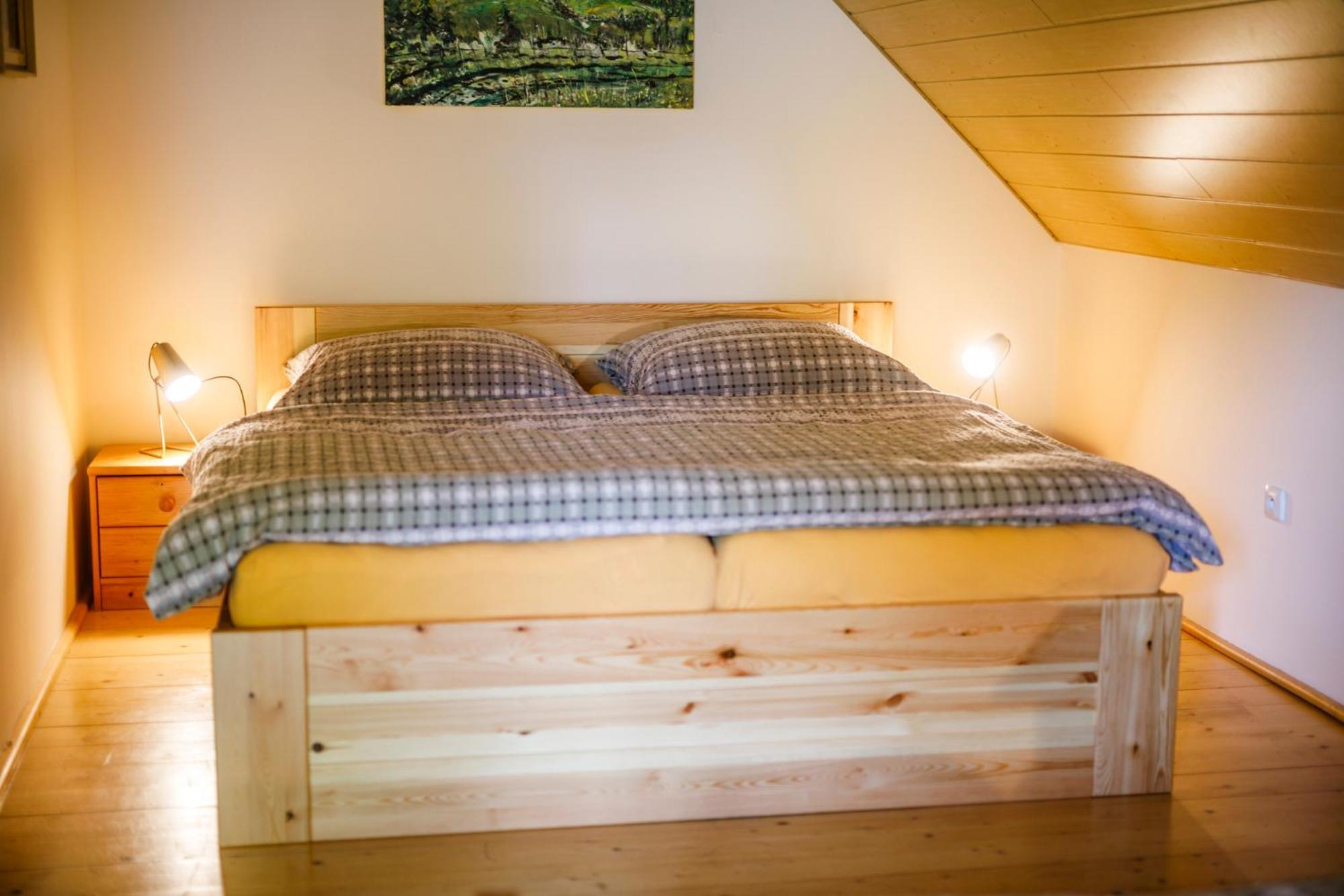 Chalet Horni Orlice Červená Voda Εξωτερικό φωτογραφία