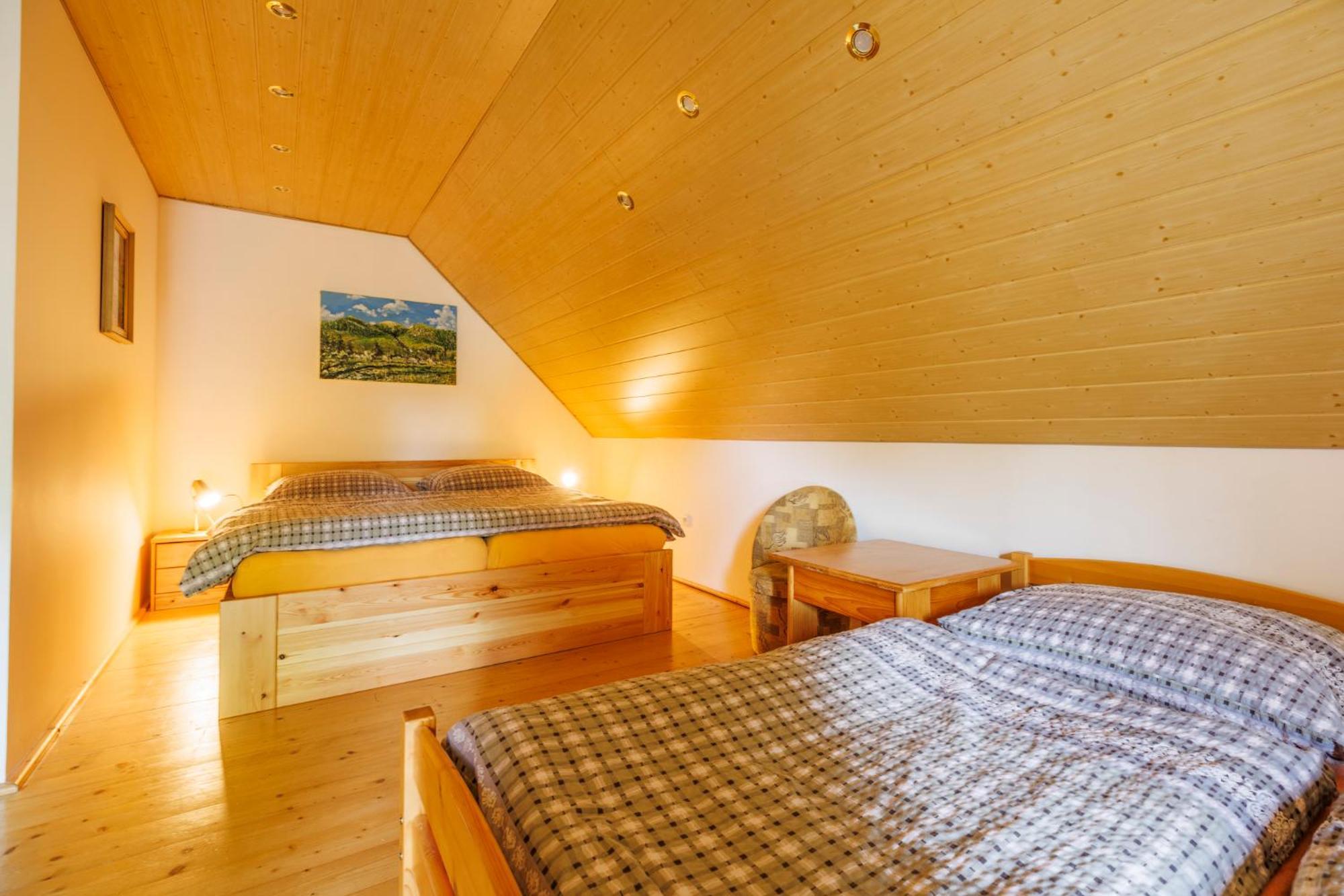 Chalet Horni Orlice Červená Voda Εξωτερικό φωτογραφία