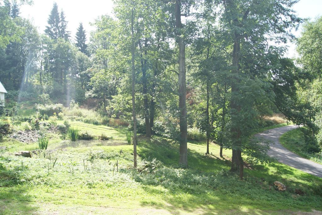 Chalet Horni Orlice Červená Voda Δωμάτιο φωτογραφία