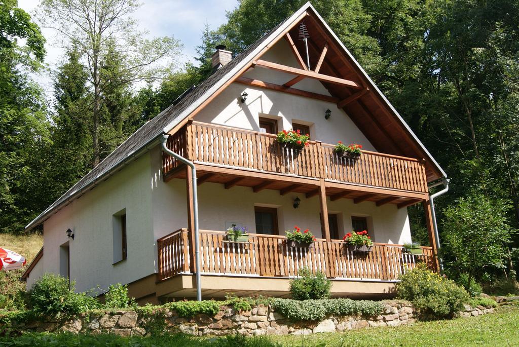 Chalet Horni Orlice Červená Voda Εξωτερικό φωτογραφία