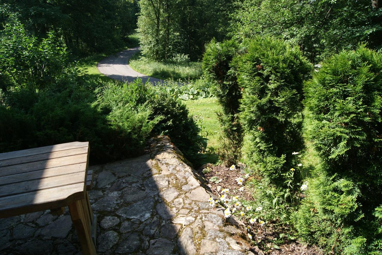 Chalet Horni Orlice Červená Voda Εξωτερικό φωτογραφία