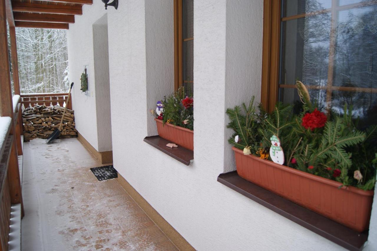 Chalet Horni Orlice Červená Voda Εξωτερικό φωτογραφία